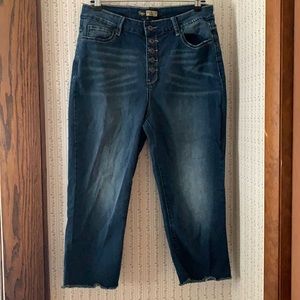 Size 14 Suzanne Betro Jean Capris